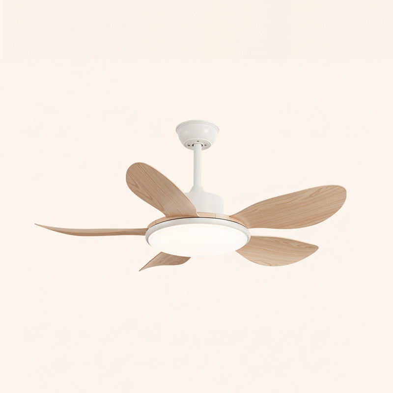 The Ovlaim ceiling fan with the light turned on, providing warm illumination.