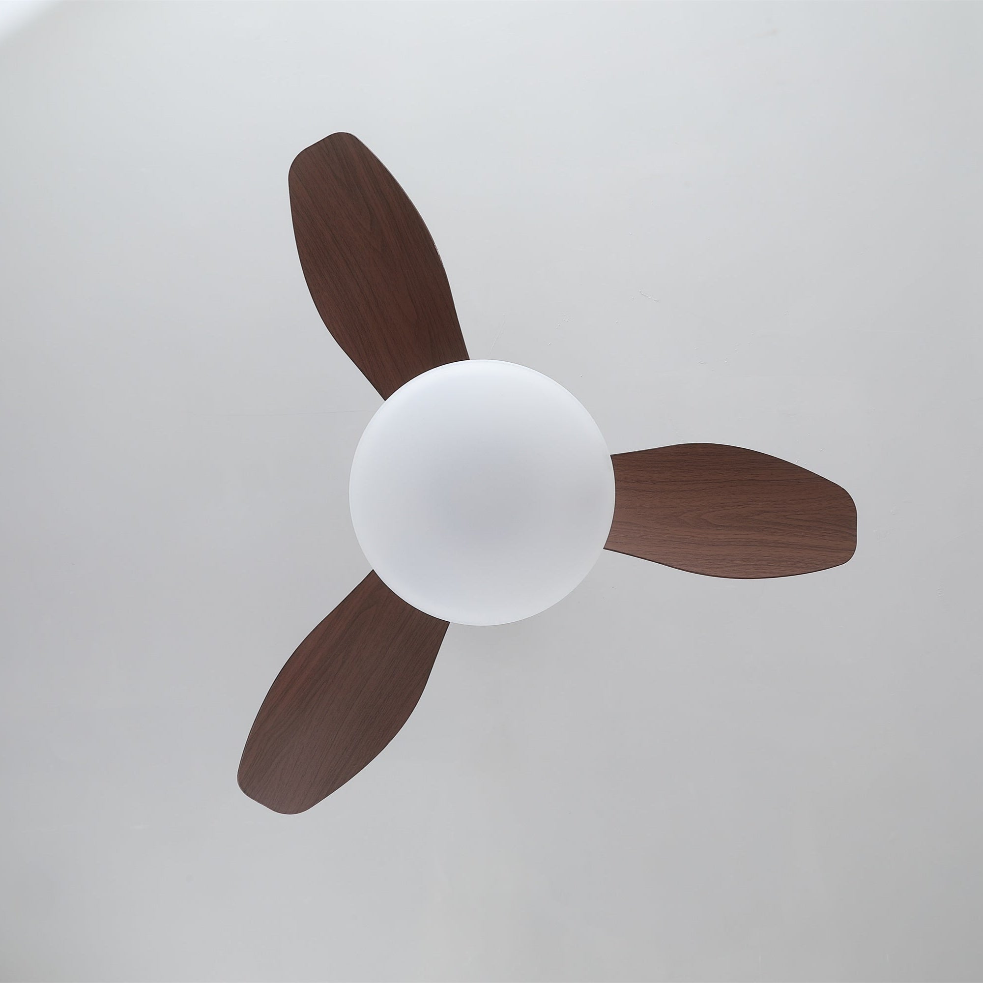 Zephira Ceiling Fan Light-Neutral Decor