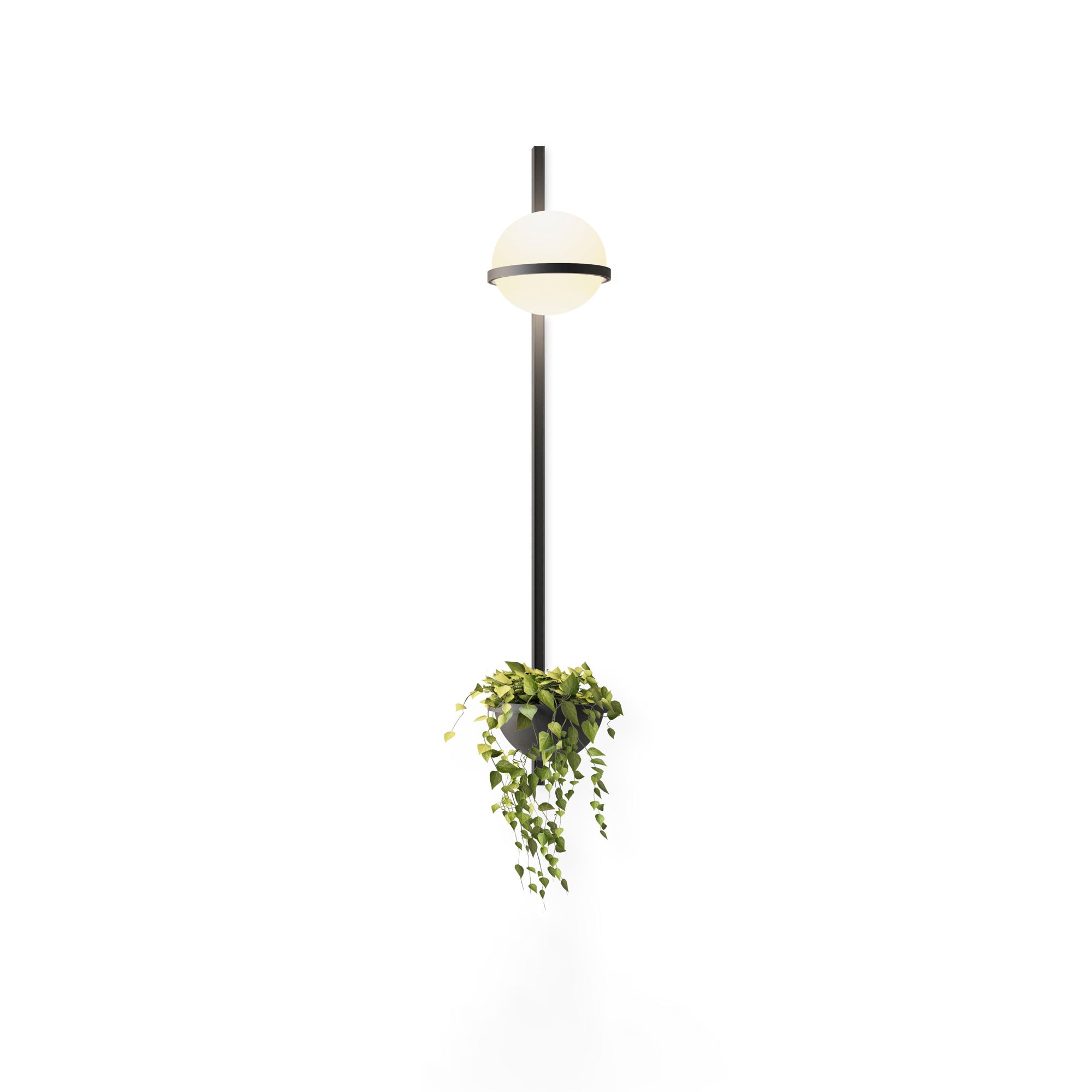Elmarisra Modern Minimalist Wall Light-Neutral Decor