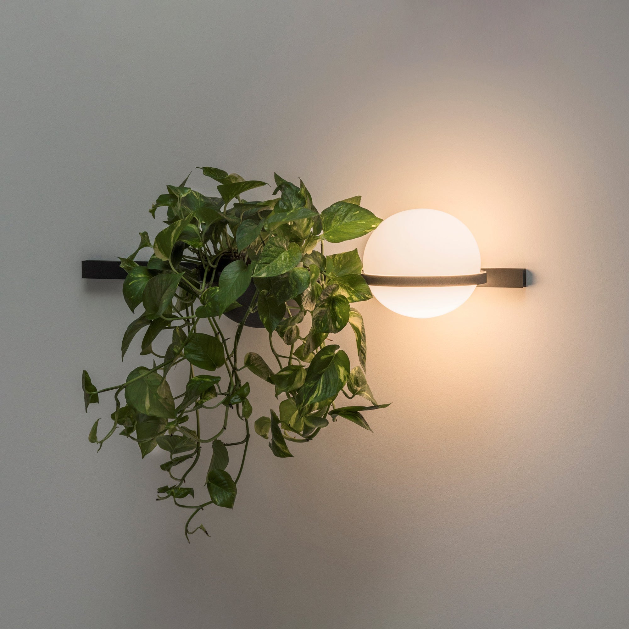 Vasila Modern Minimalist Indoor Outdoor Wall Light-Neutral Decor