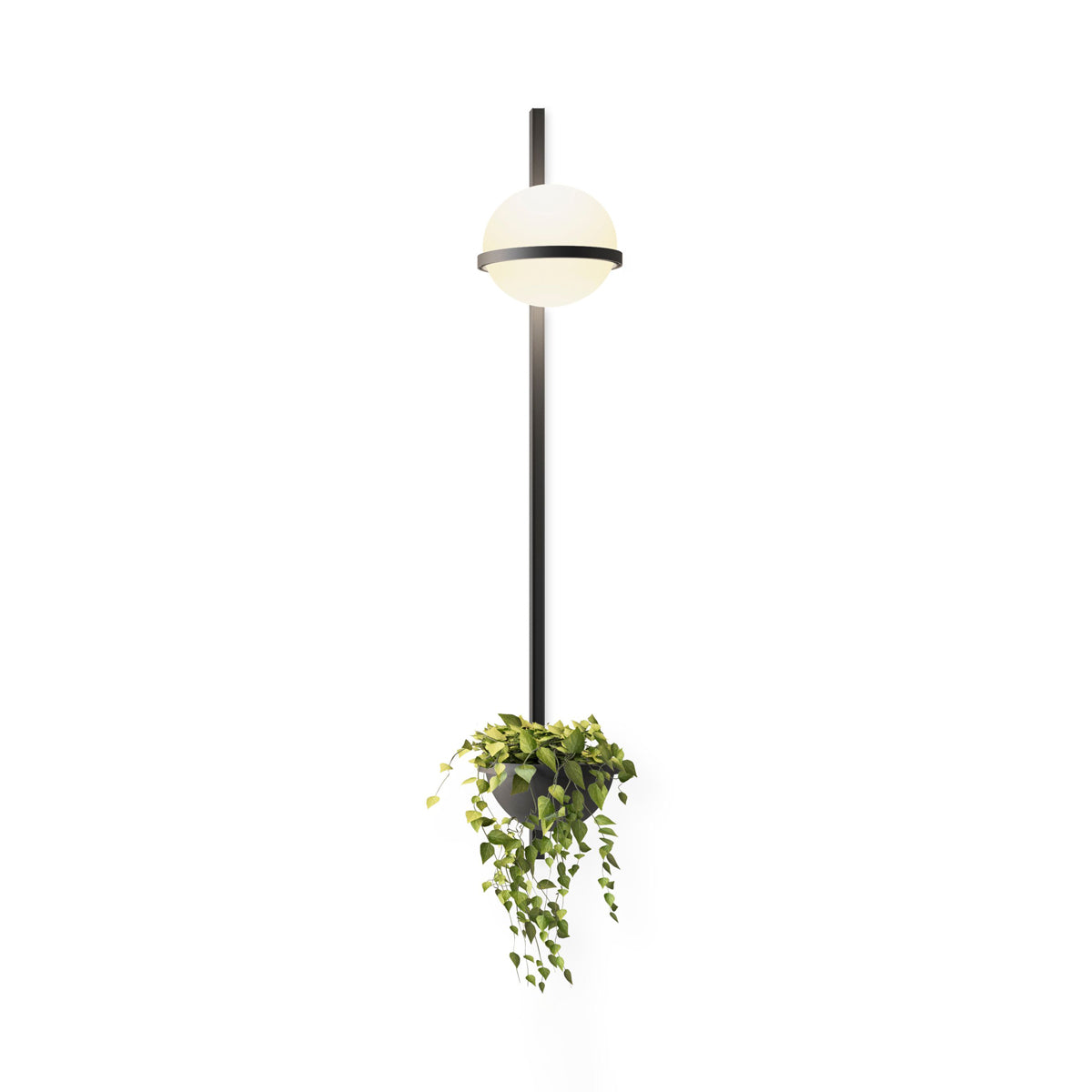 Suren Indoor Outdoor Wall Light-Neutral Decor