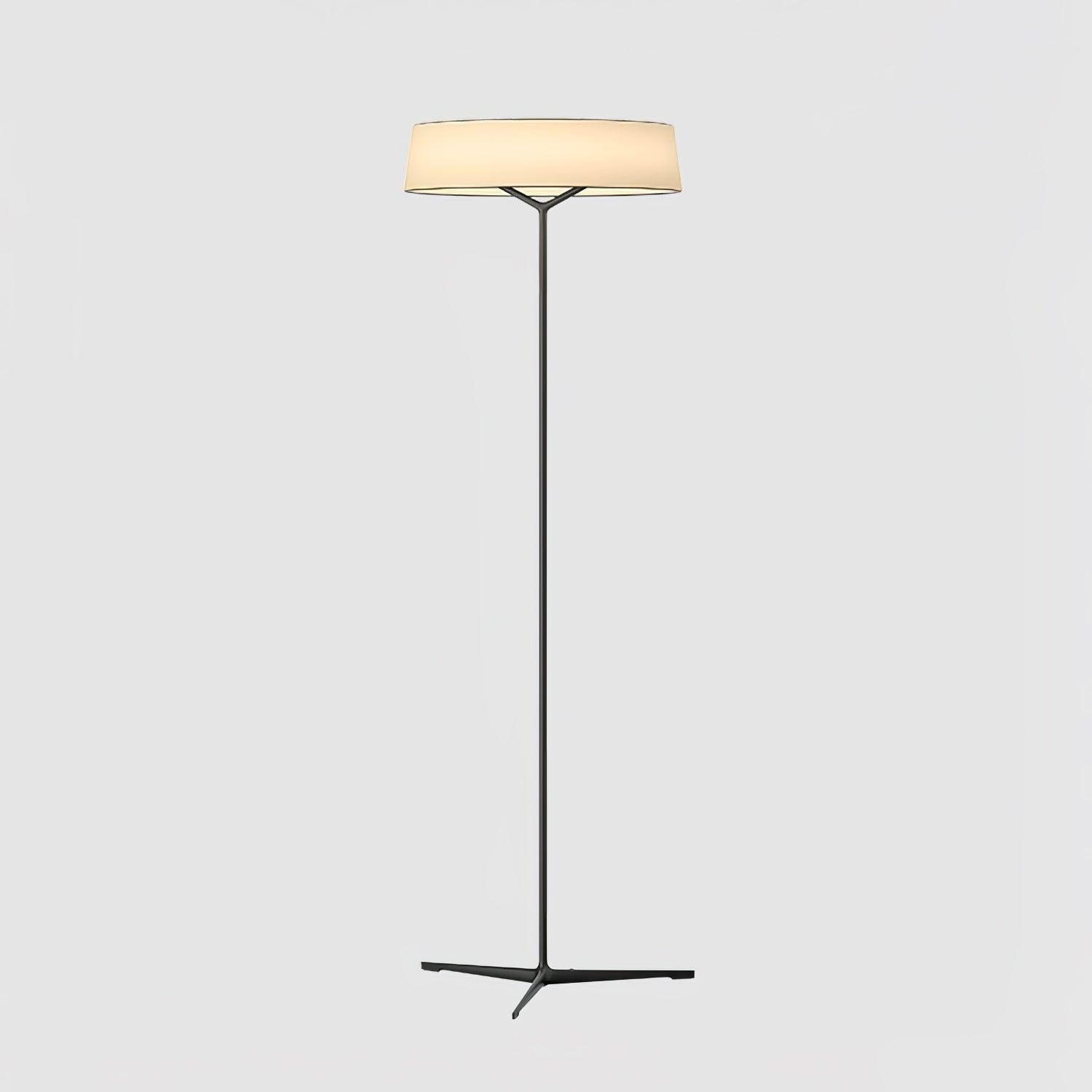 Zemaryre Modern Floor Lamp-Neutral Decor