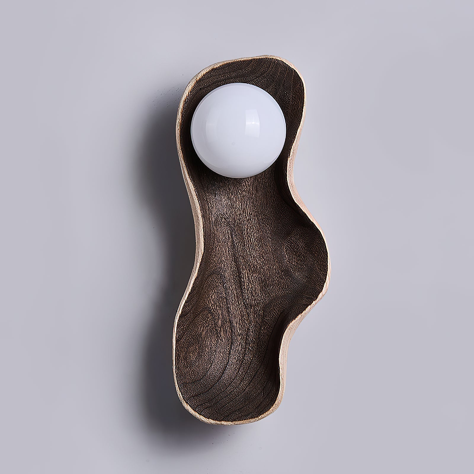 Evshaia Wall Lamp