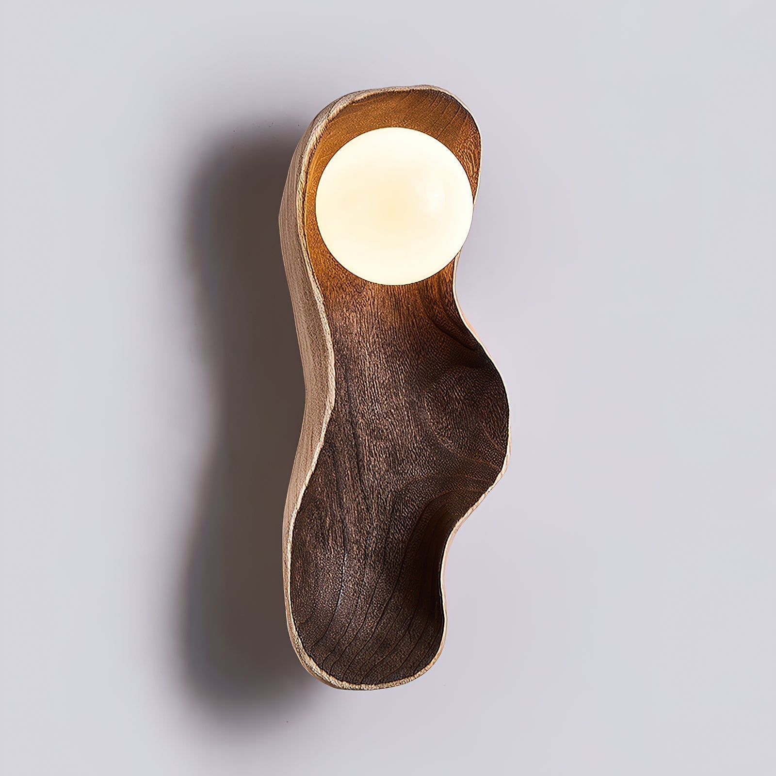 Evshaia Wall Lamp