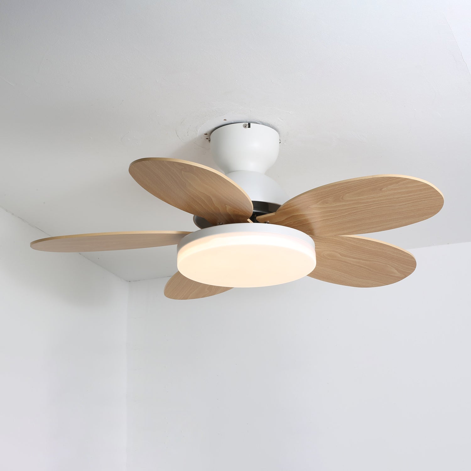 Liora Colorful Glass Kids Ceiling Fan Light-Neutral Decor