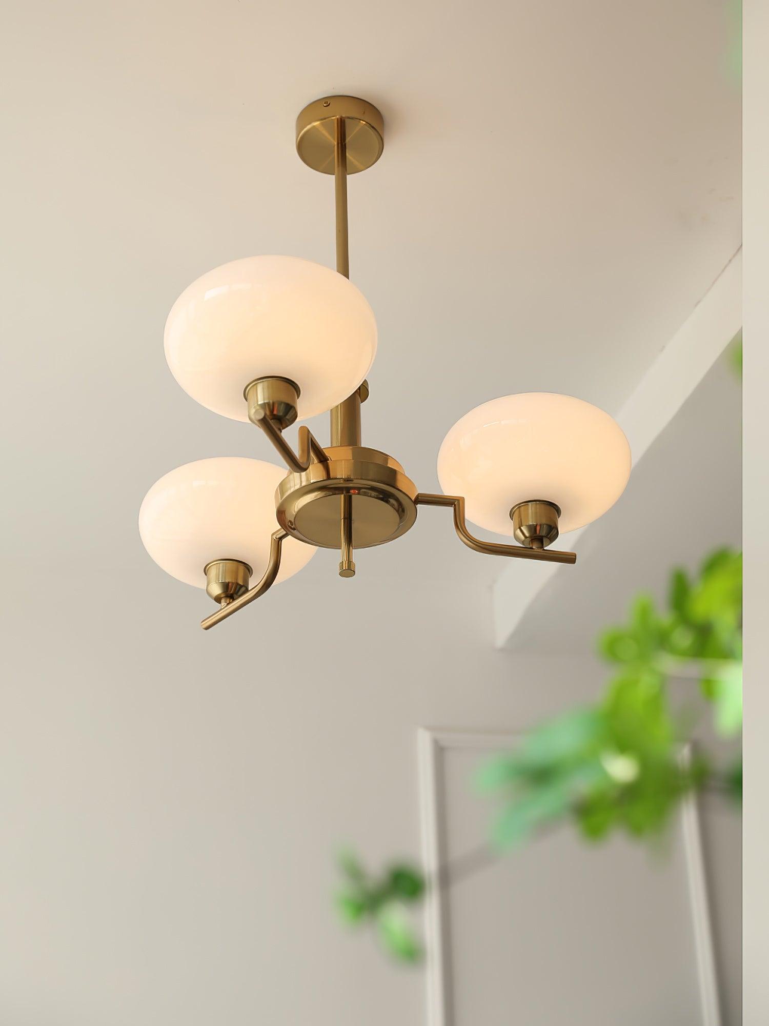 Amino Pendant Lamp Glass Globe Brass Frame-Neutral Decor