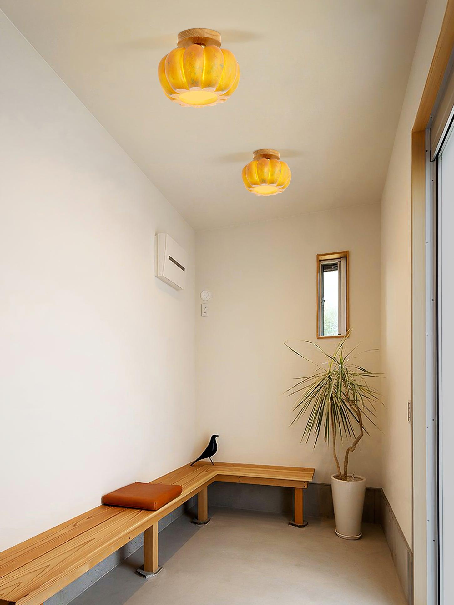 Finn Vintage Ceiling Lamp-Neutral Decor