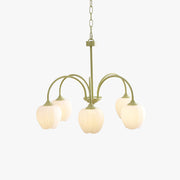Tulip Fresh Chandeliers Glass