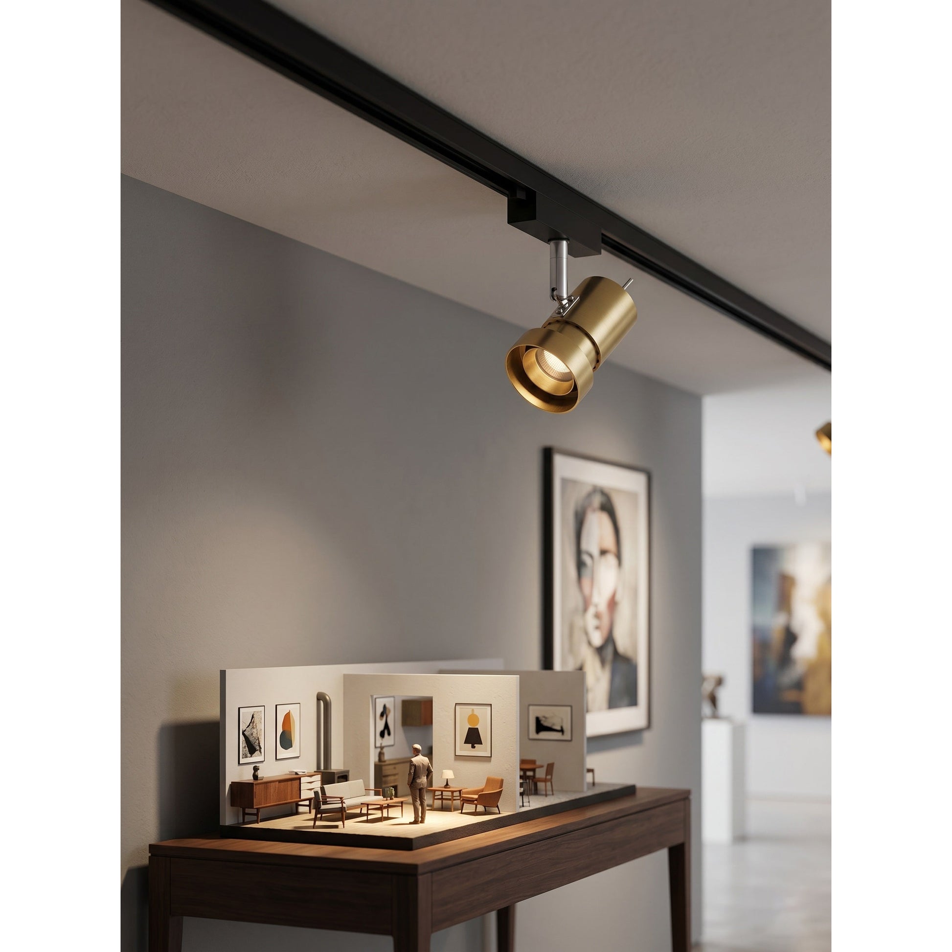VidaLite Track Light highlighting artwork on a wall.