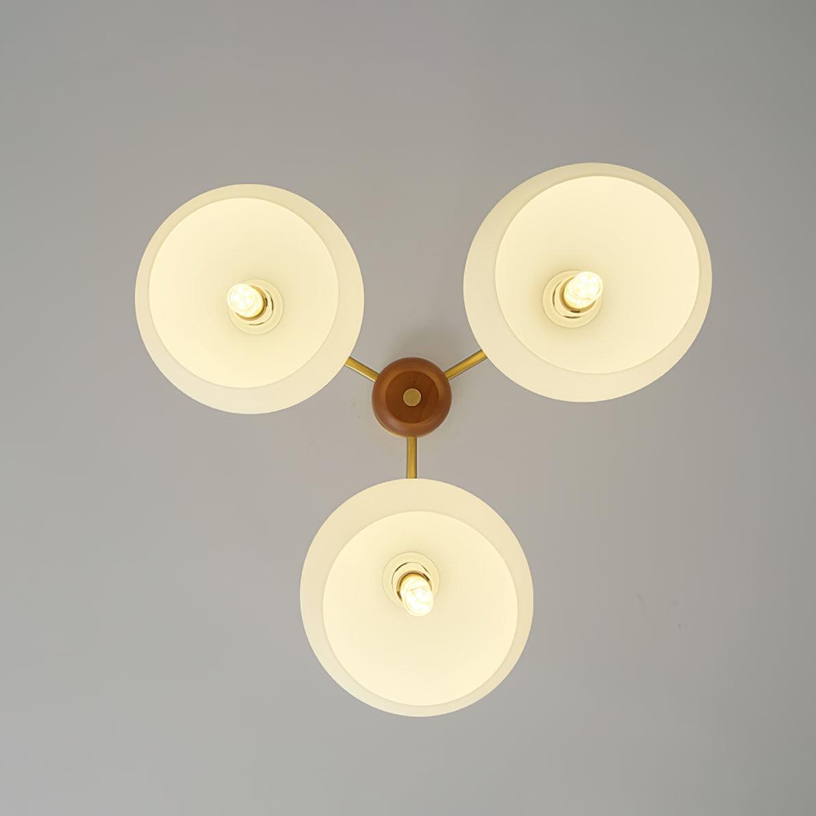 Toral Chandelier