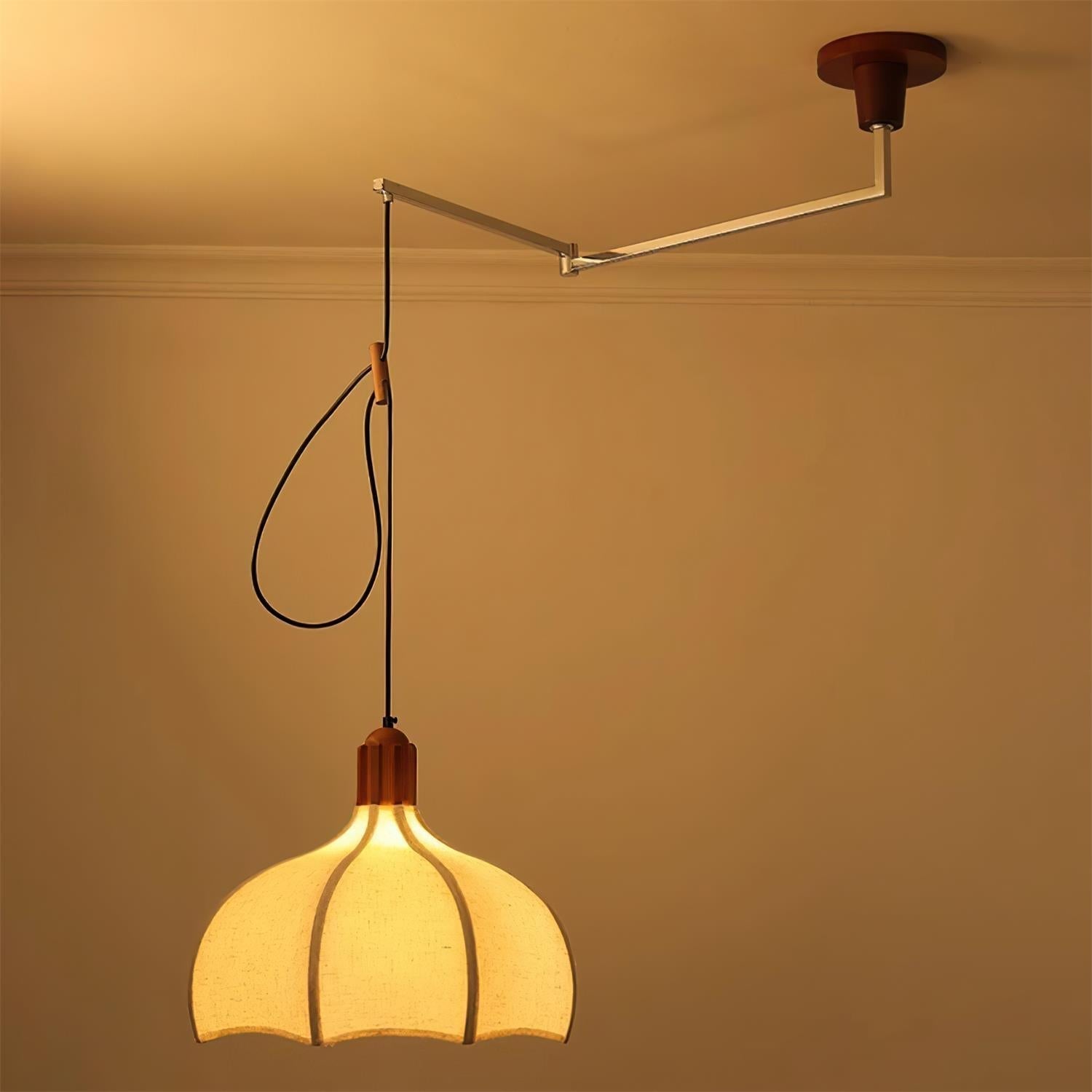 Eldin Adjustable Pendant Light