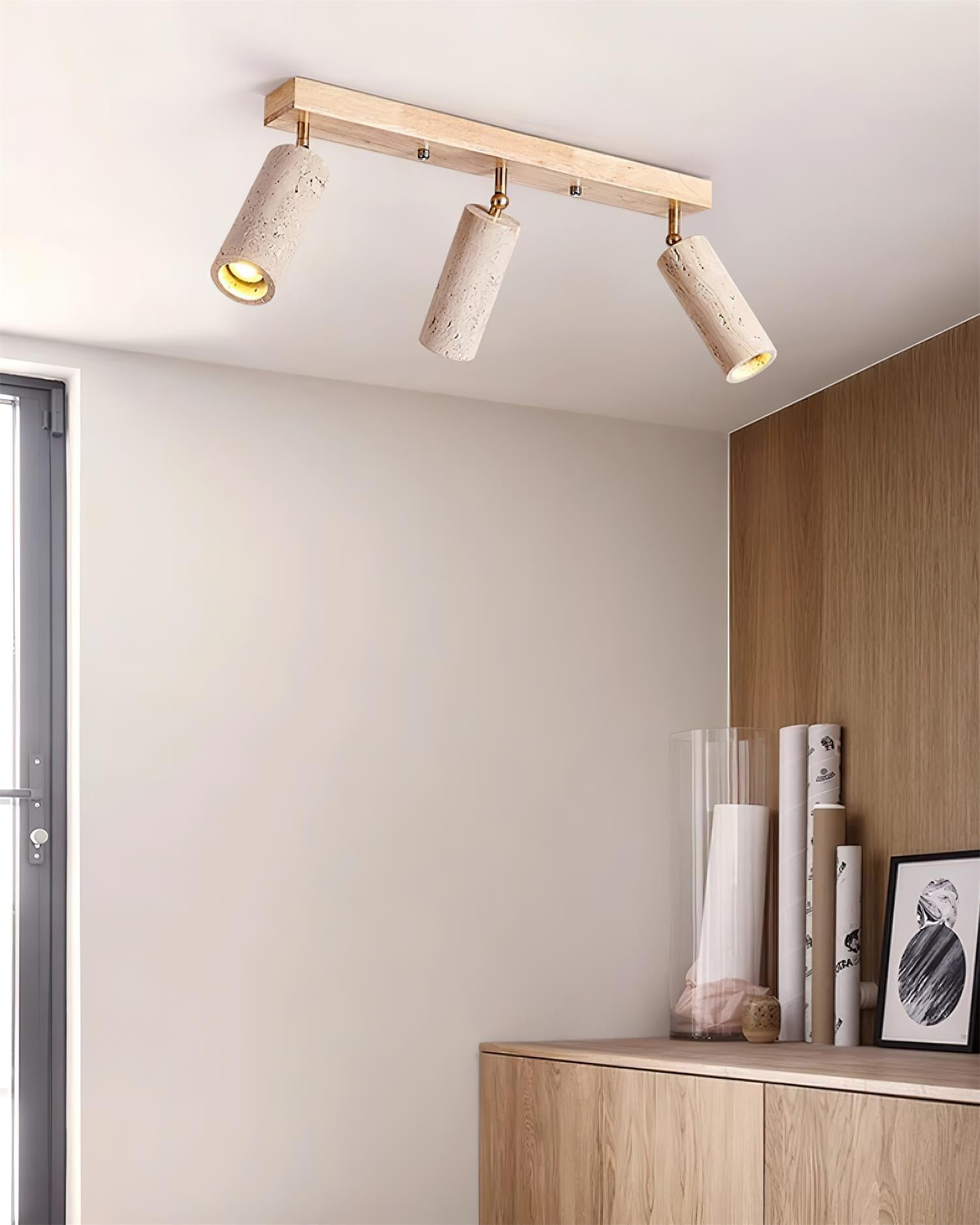 Navine 3-Light Adjustable Ceiling Spotlight