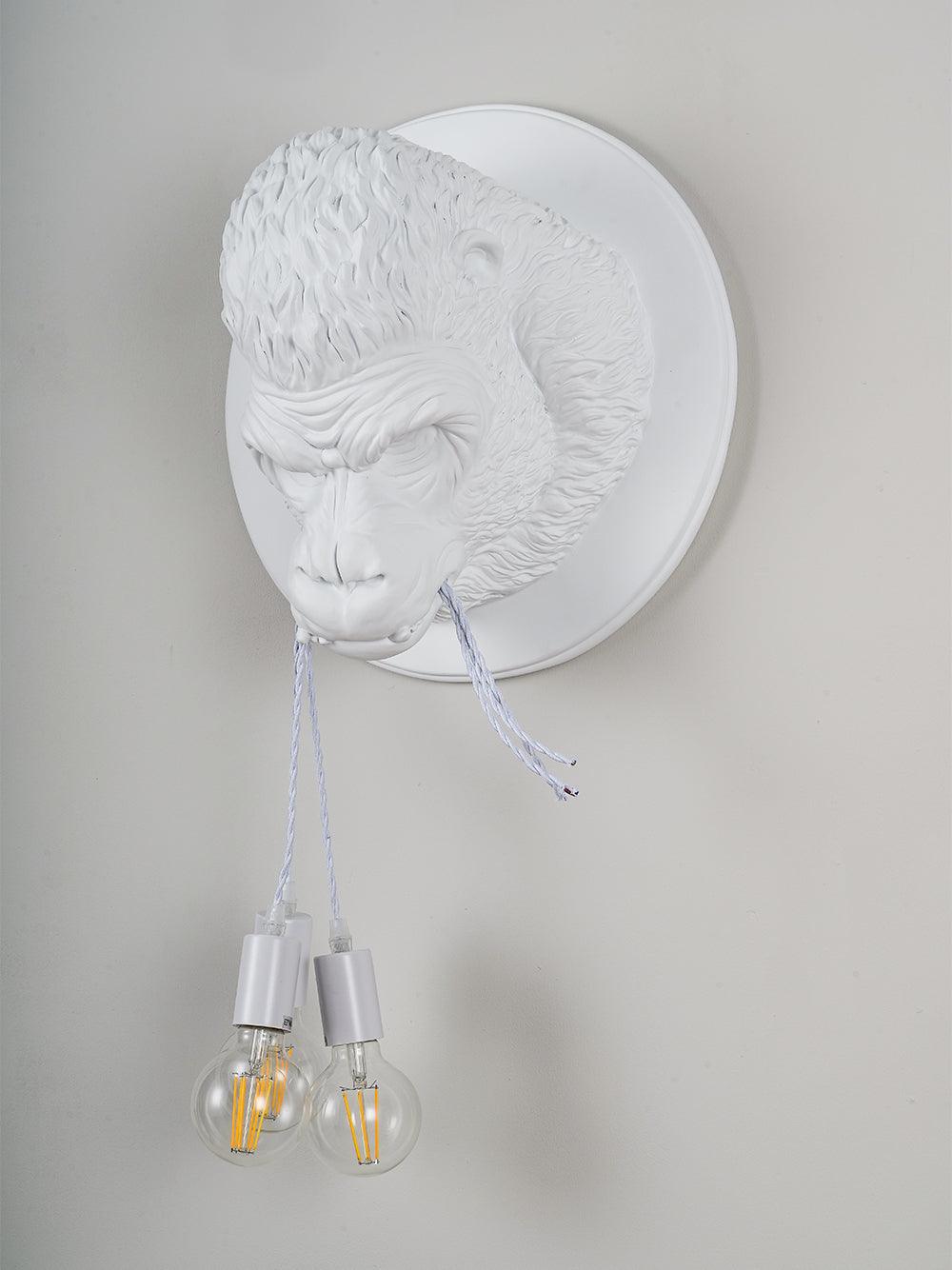 Emlen Premium Elegance Resin Sconce Wall Lamp-Neutral Decor
