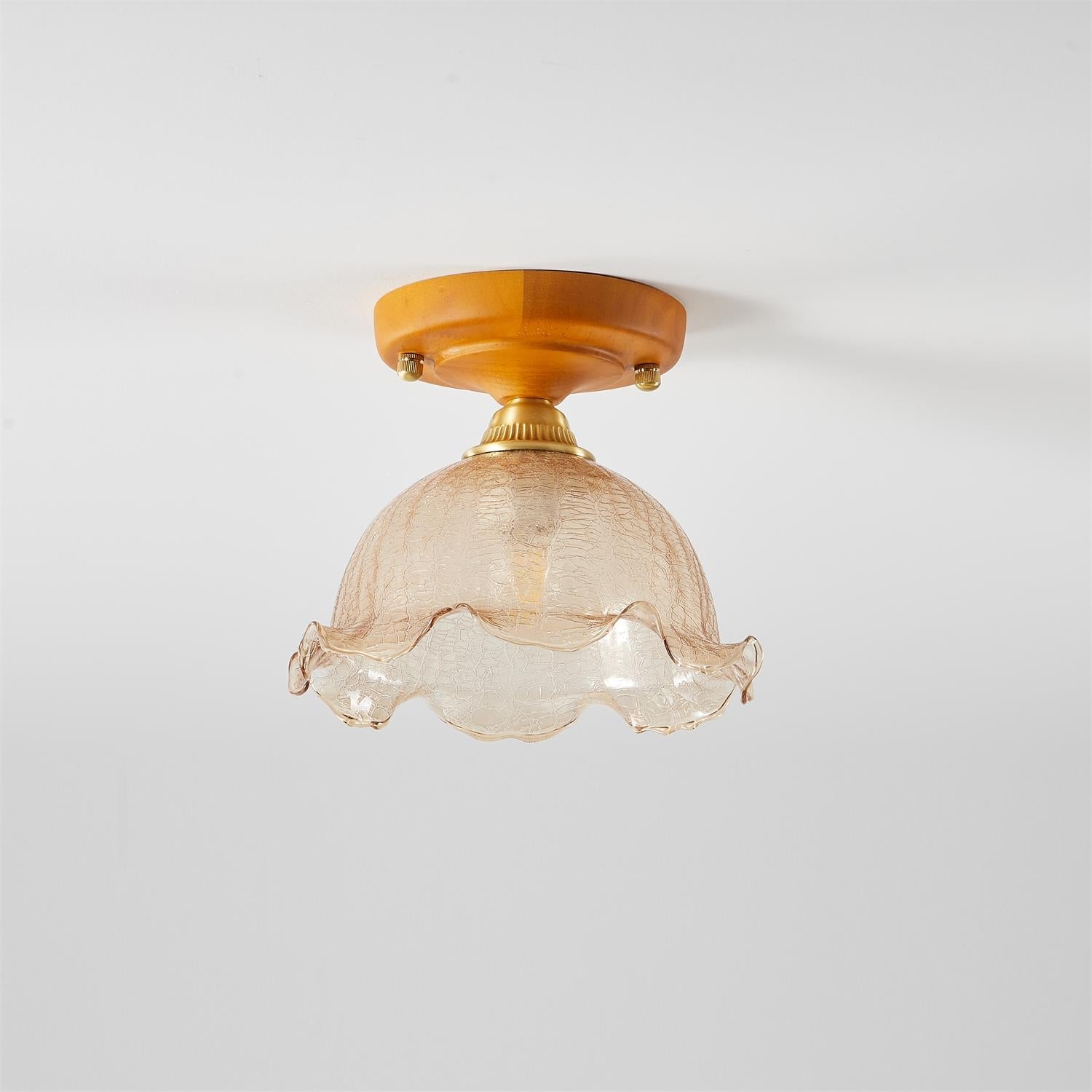 Elano Glass Ceiling Light
