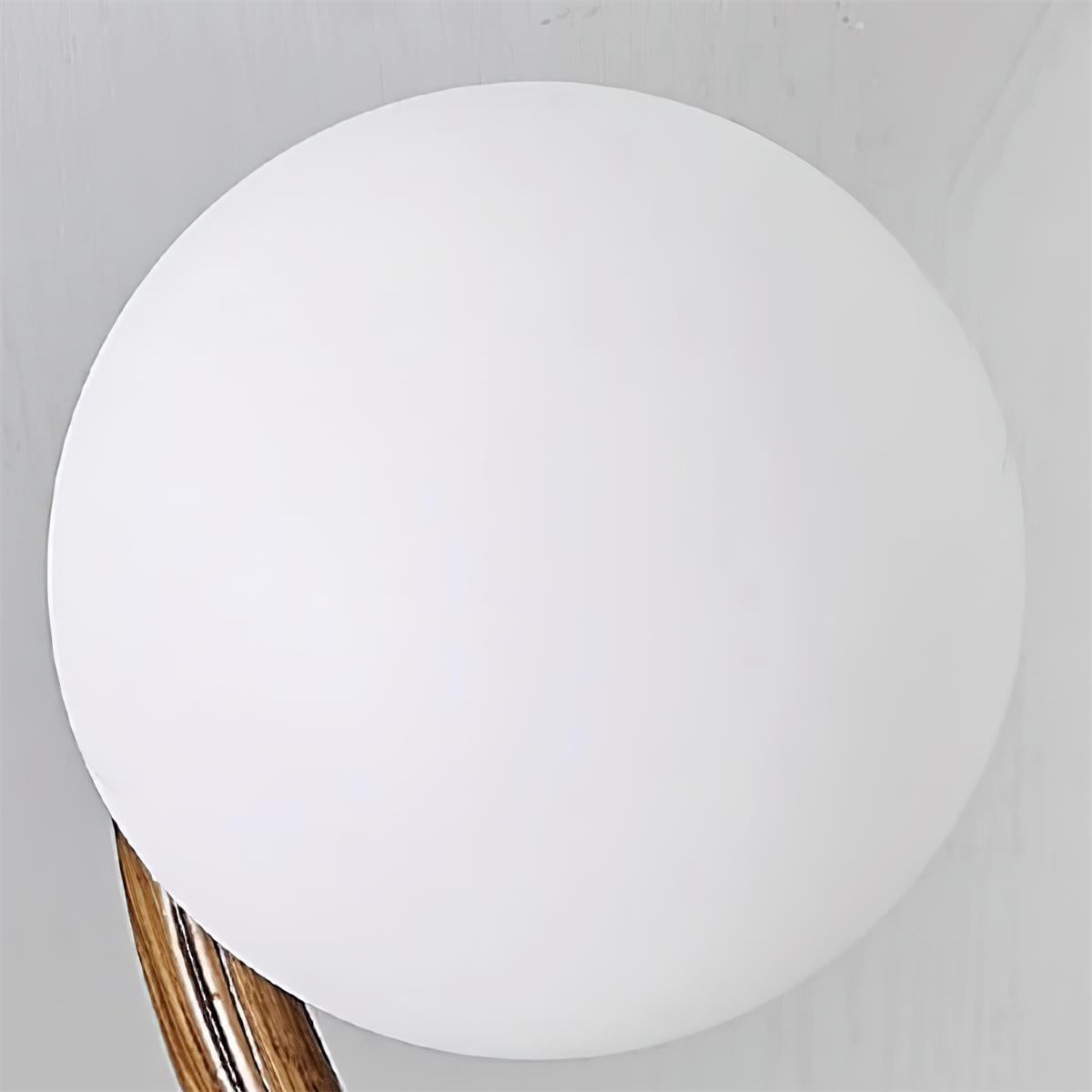 Liora  Ball Ceiling Light