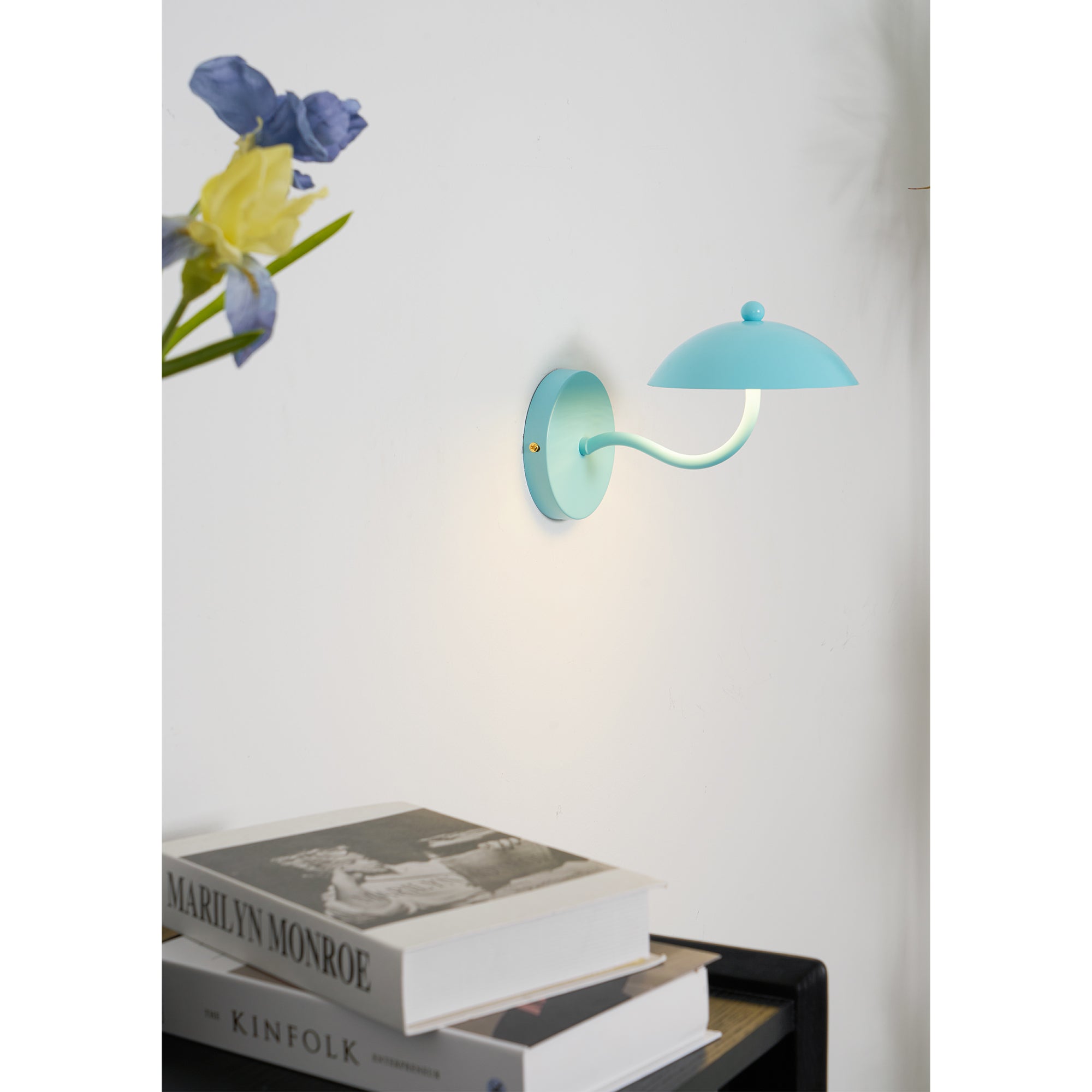Errina Wall Lamp