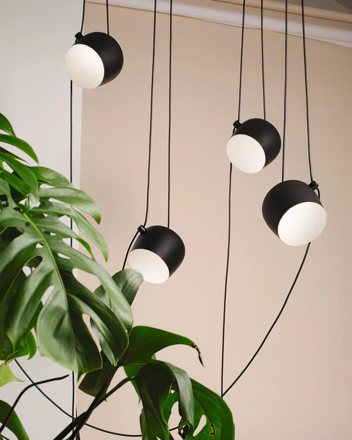 Calivenne Pendant Light