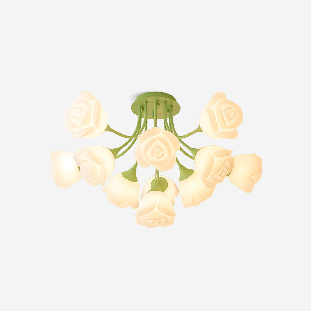 Tranny Ceiling Light