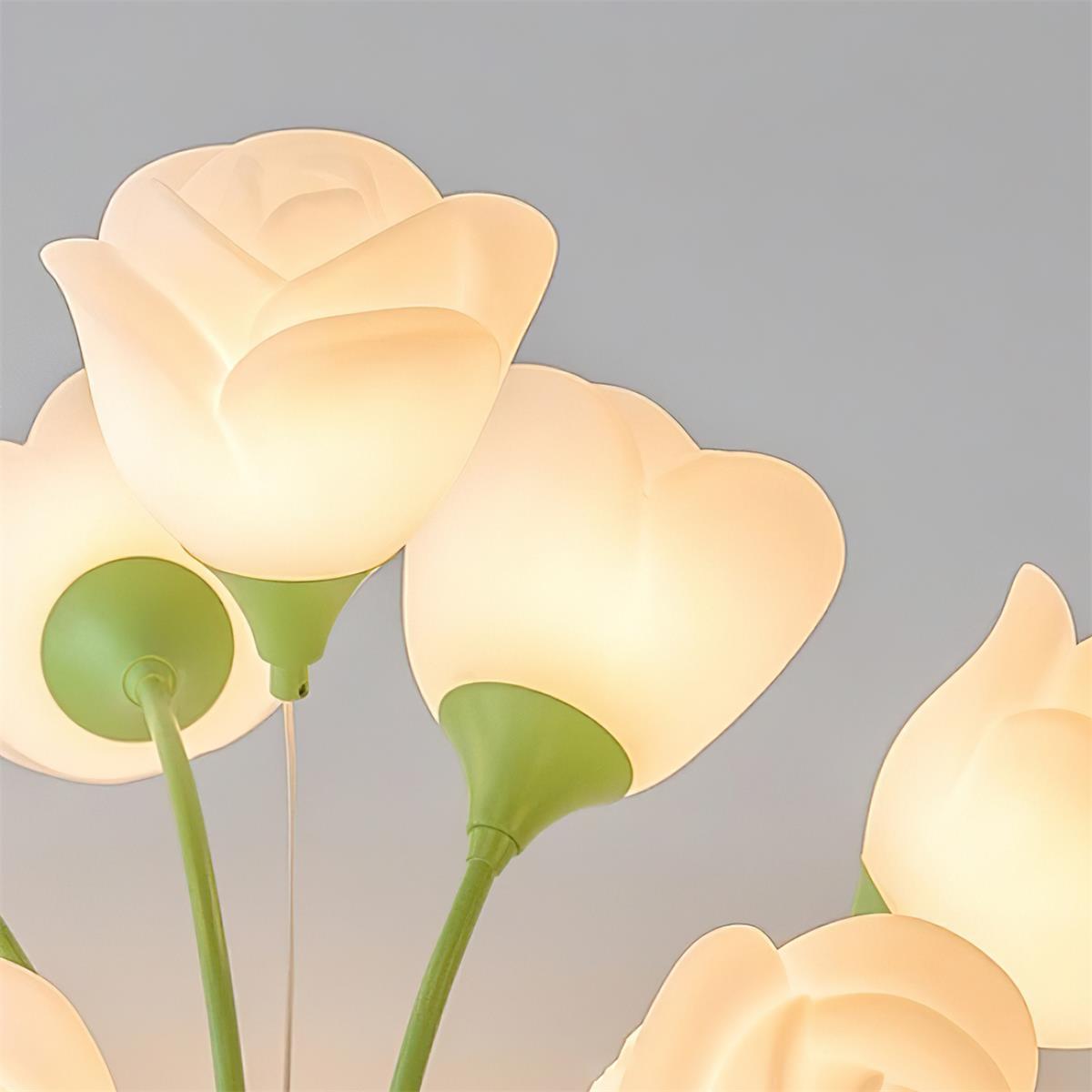 Tranny Ceiling Light