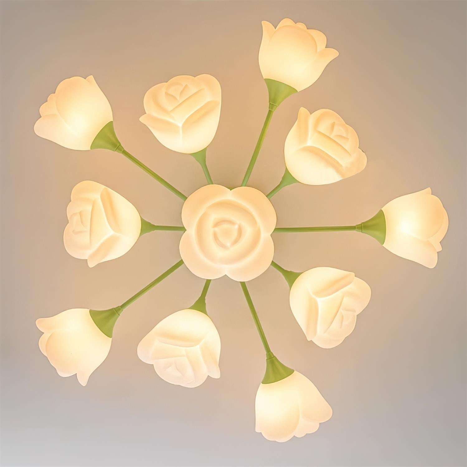 Tranny Ceiling Light
