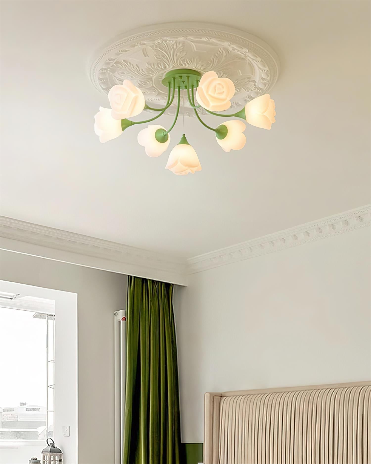 Tranny Ceiling Light