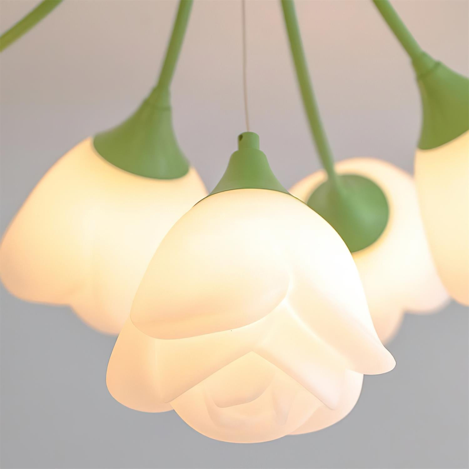 Tranny Ceiling Light