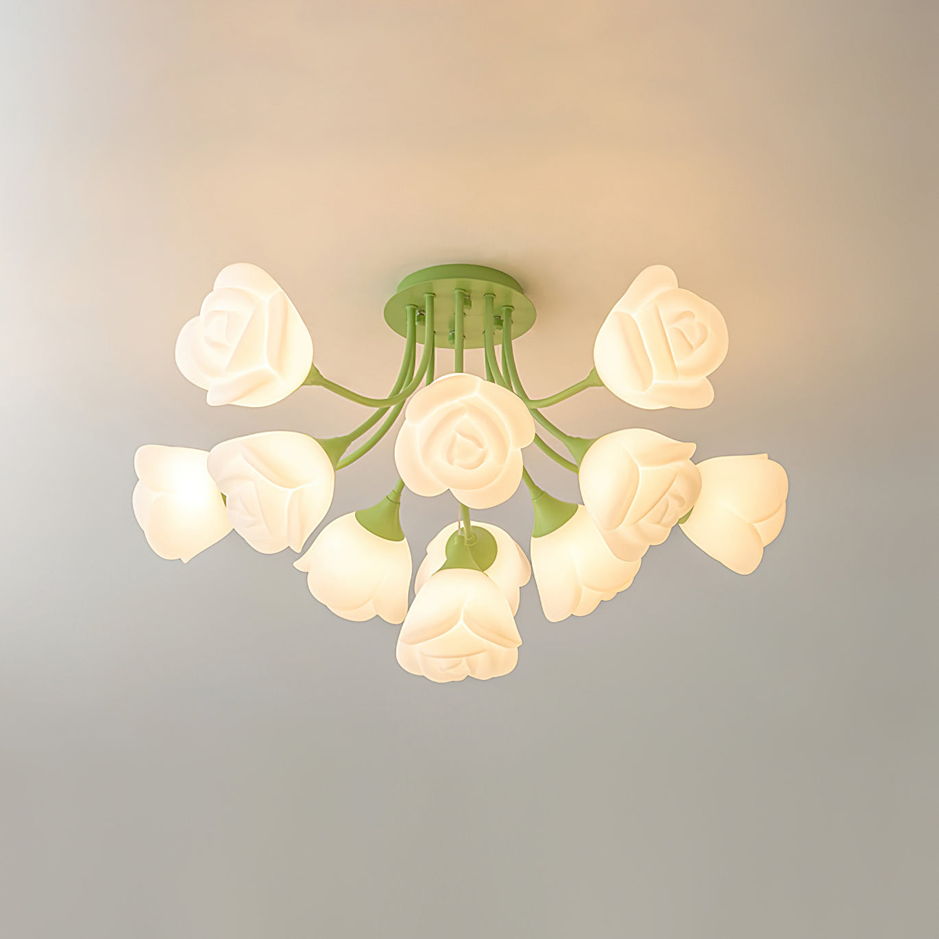 Tranny Ceiling Light