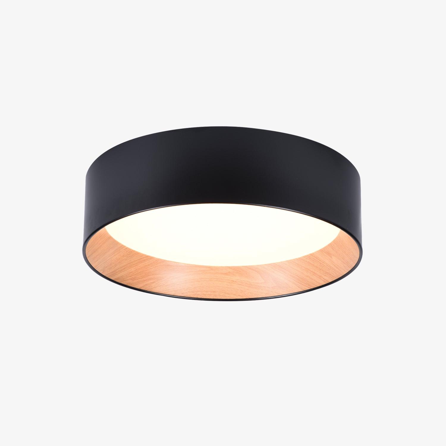 Elvenis Modern Minimalist Round Ceiling Lamp-Neutral Decor