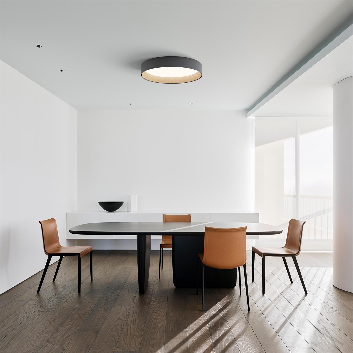 Elvenis Modern Minimalist Round Ceiling Lamp-Neutral Decor