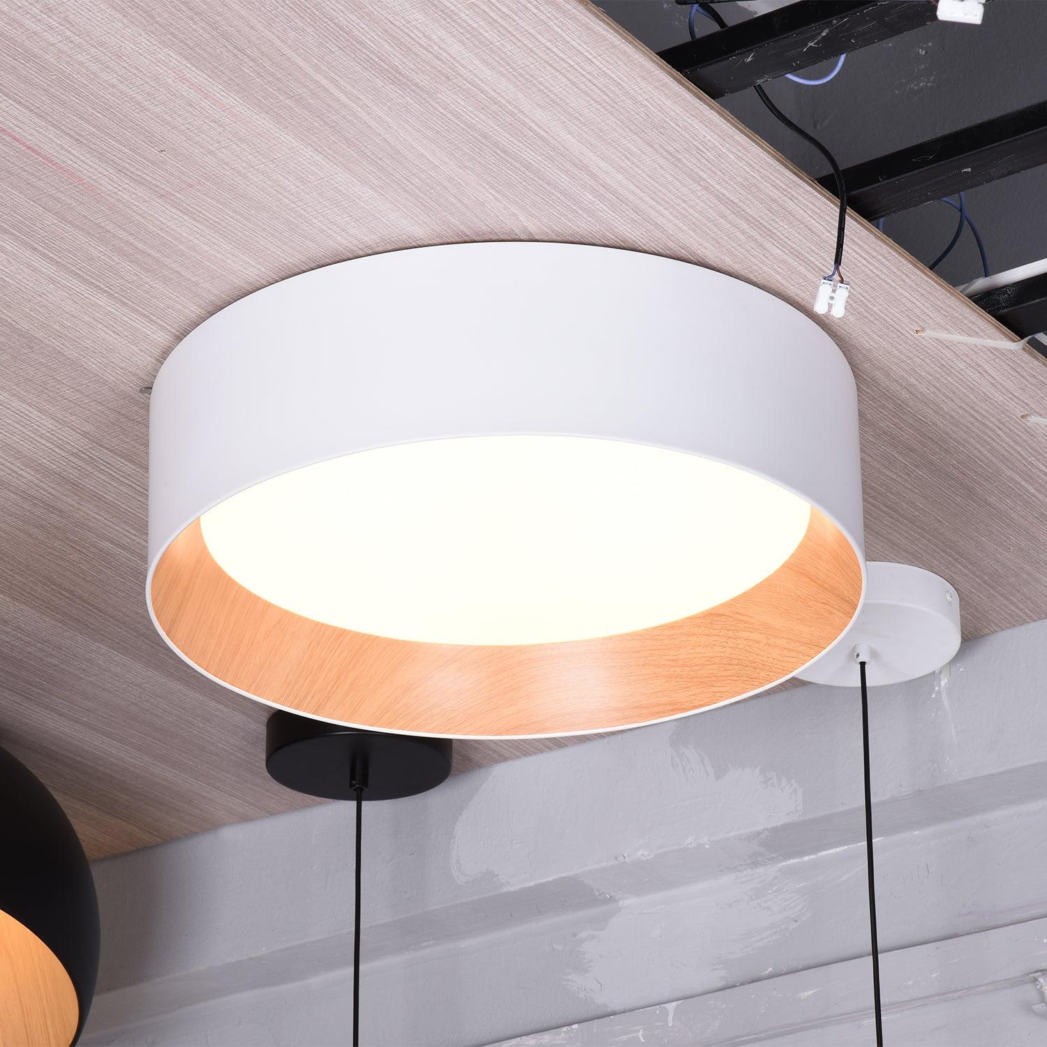 Elvenis Modern Minimalist Round Ceiling Lamp-Neutral Decor