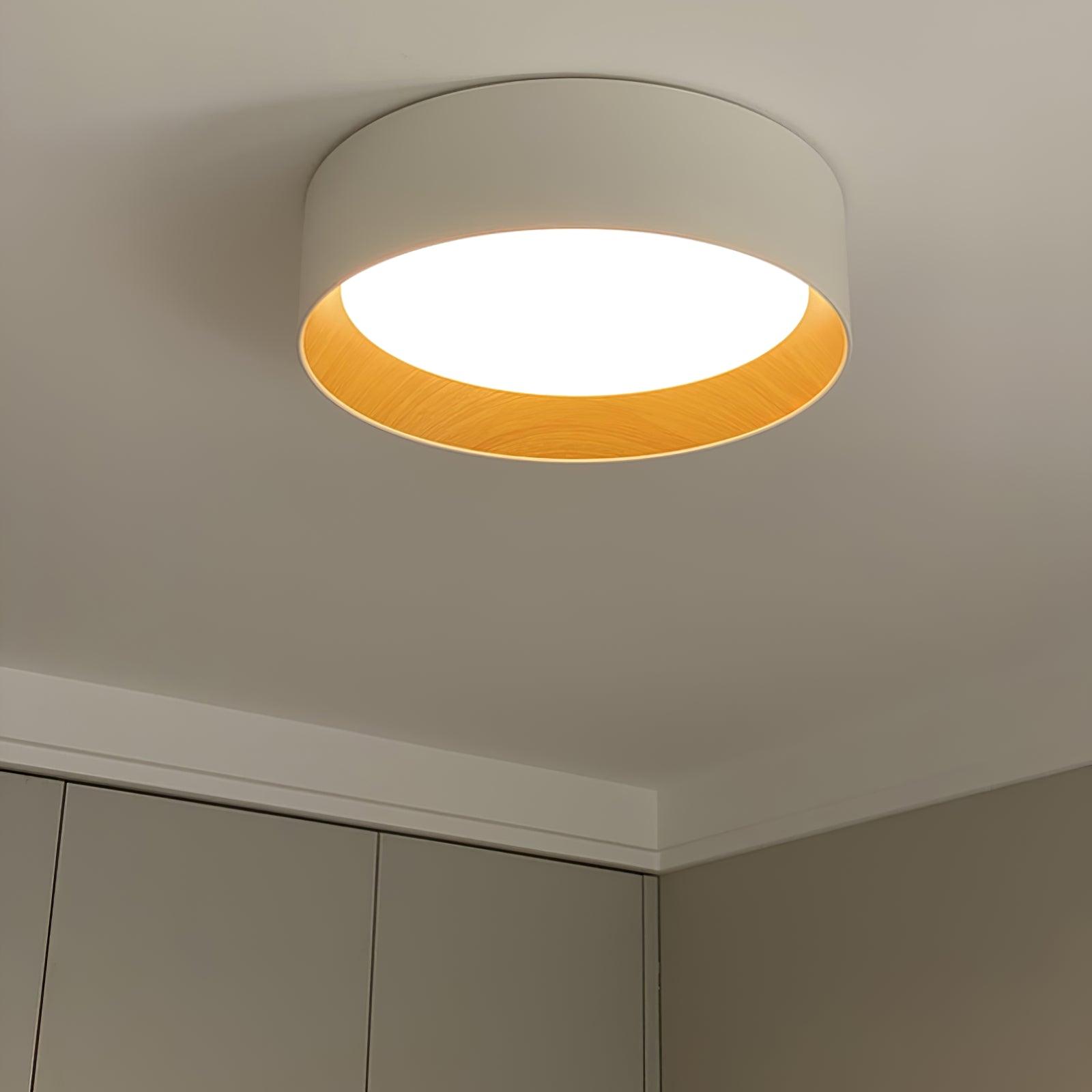 Elvenis Modern Minimalist Round Ceiling Lamp-Neutral Decor