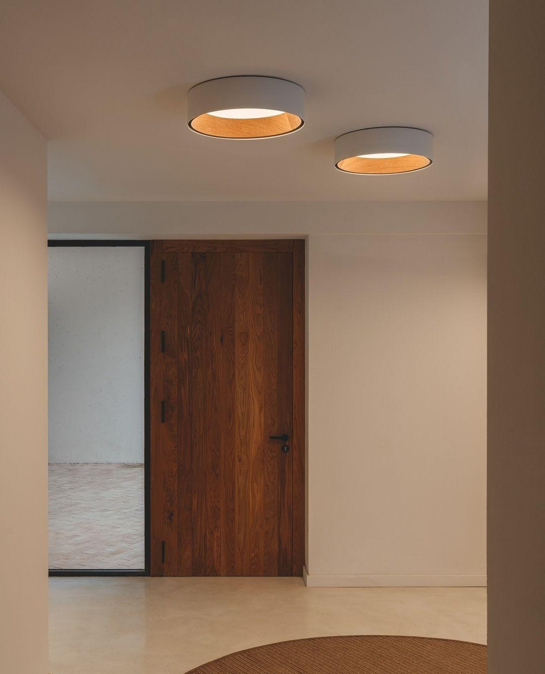 Elvenis Modern Minimalist Round Ceiling Lamp-Neutral Decor