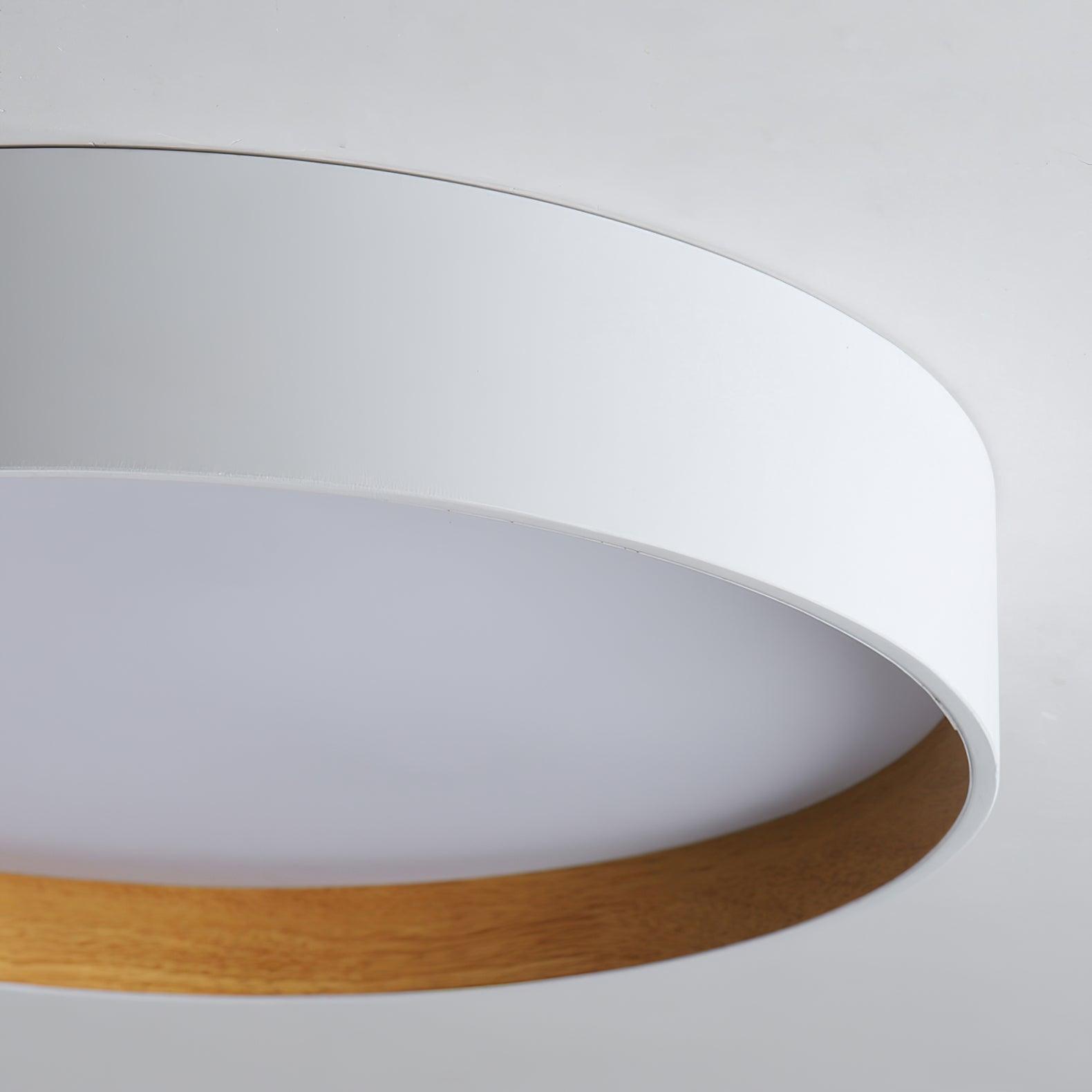 Elvenis Modern Minimalist Round Ceiling Lamp-Neutral Decor