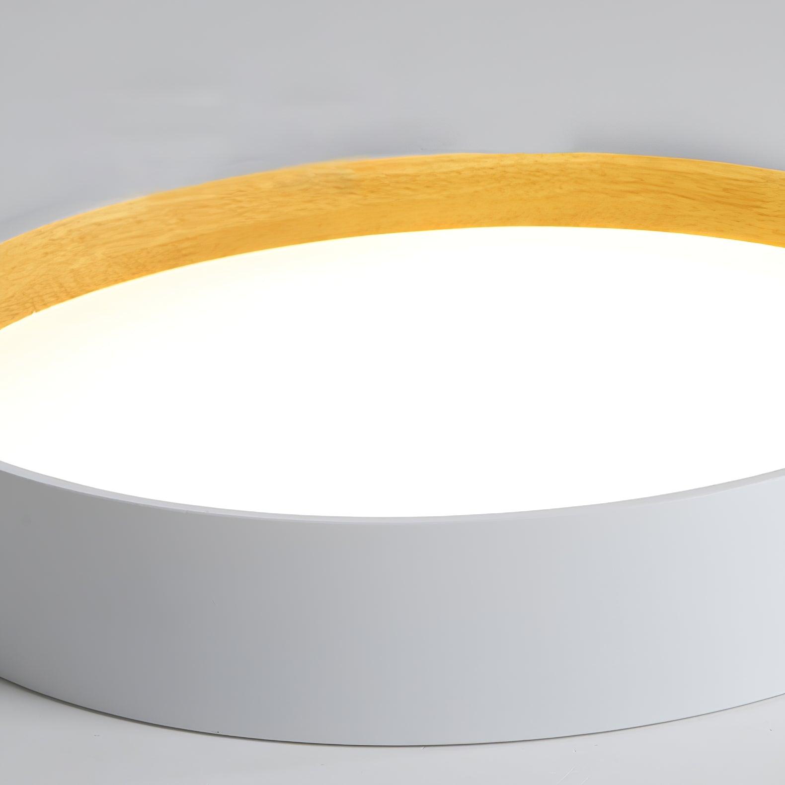 Elvenis Modern Minimalist Round Ceiling Lamp-Neutral Decor
