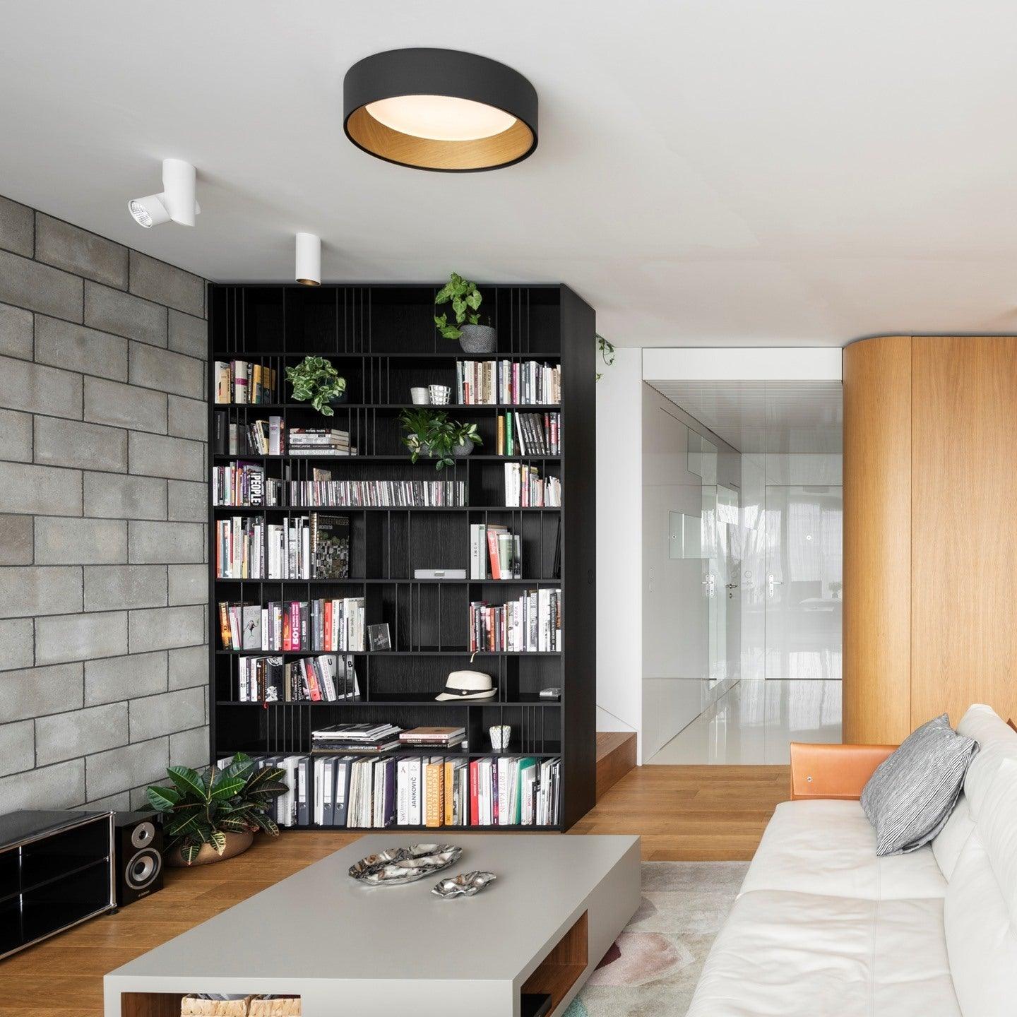 Elvenis Modern Minimalist Round Ceiling Lamp-Neutral Decor