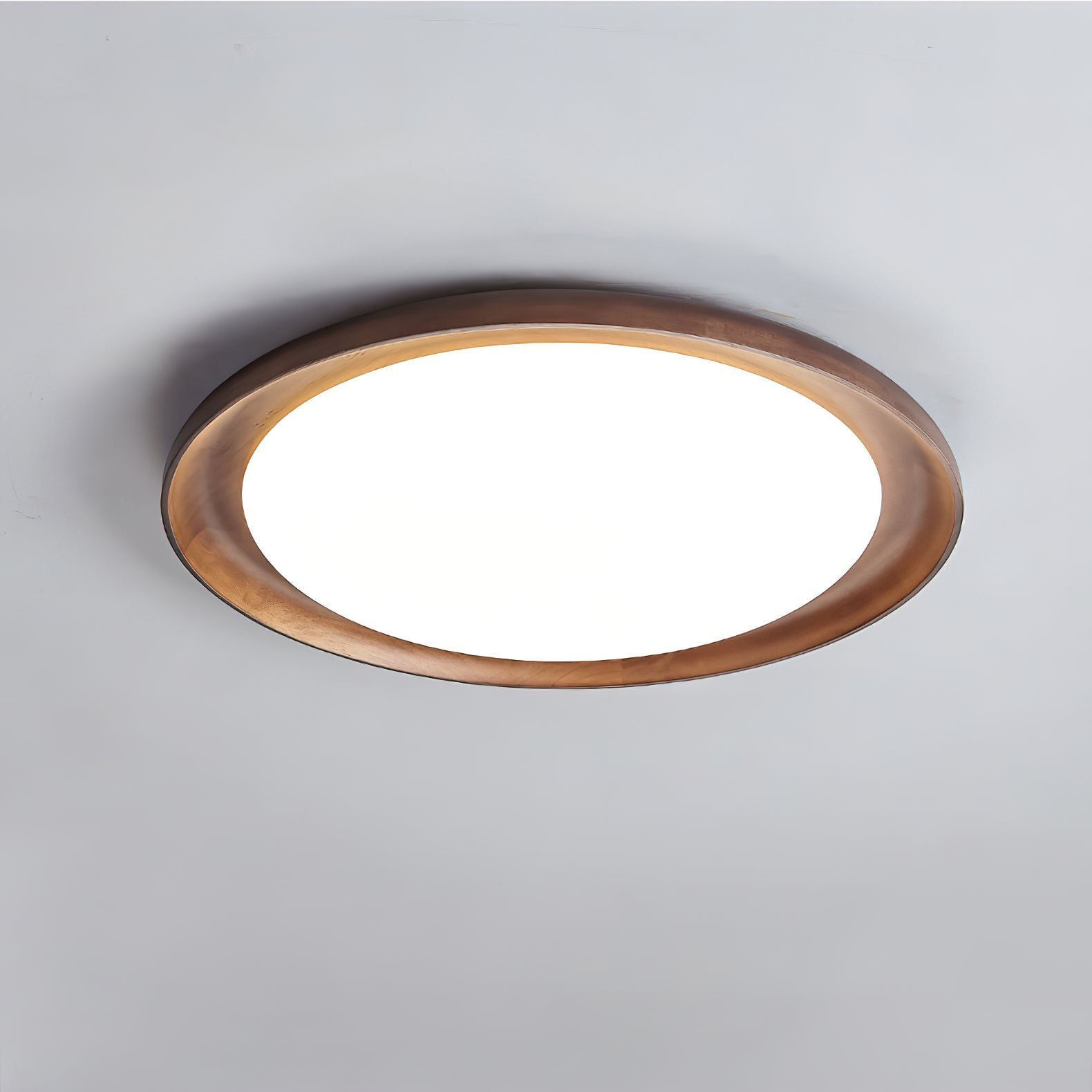 Oculus Flush Mount Light