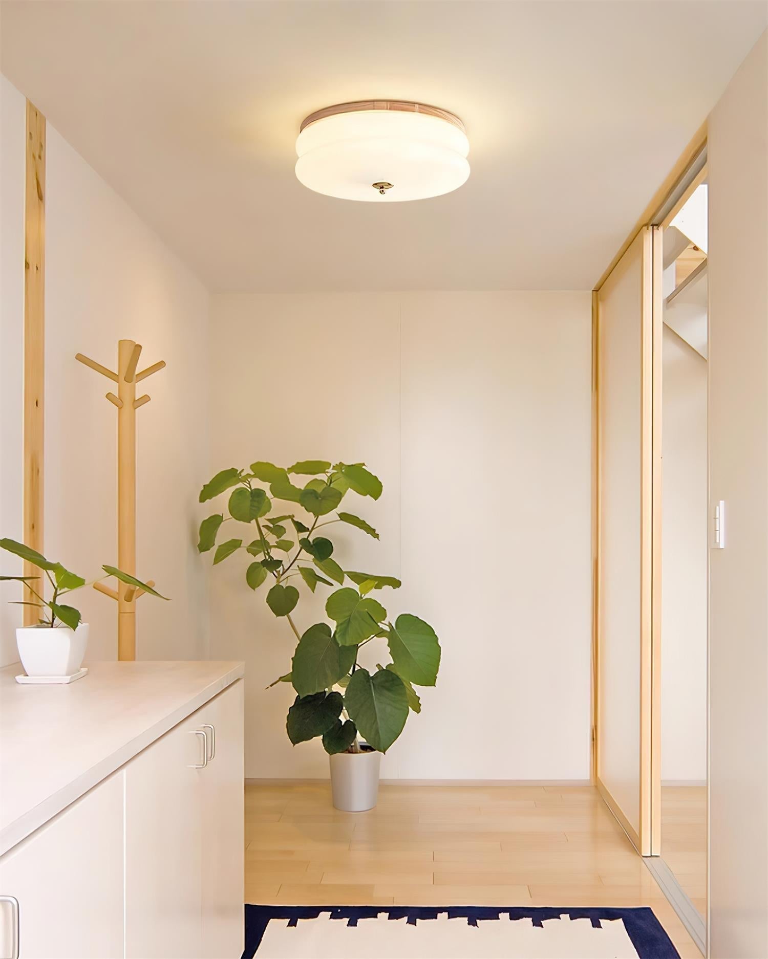 Ceiling Light Double-Layer Glass Disc Walnut Wood Minimalist