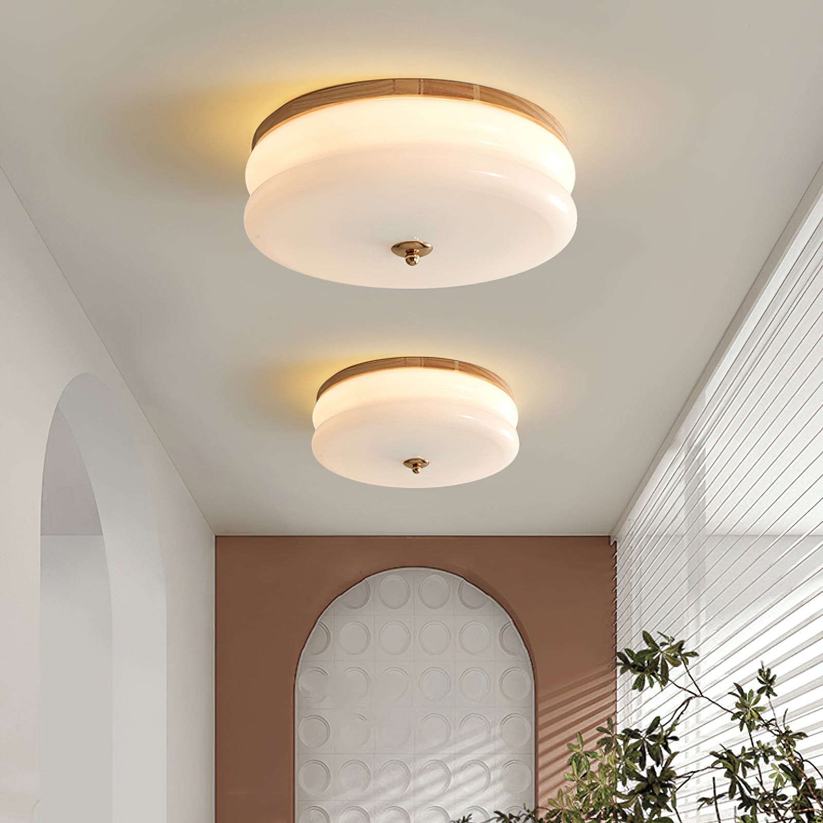 Cora Ceiling Light Double-Layer Glass Disc Walnut Minimalist-Neutral Decor