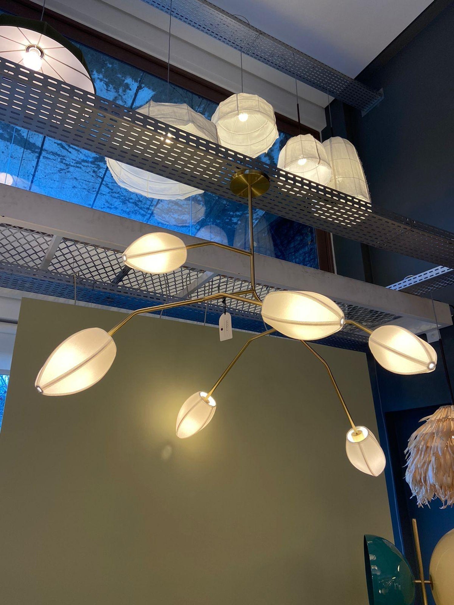 Evvinora Chandelier