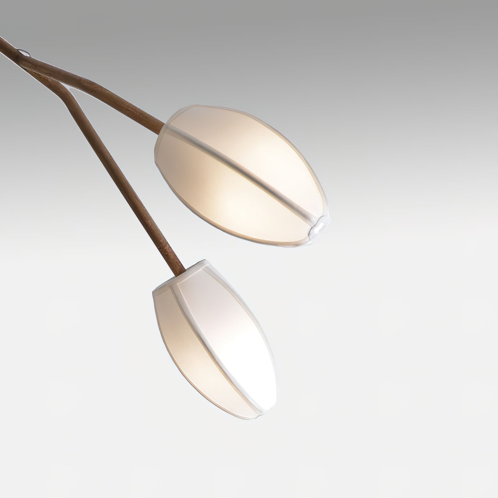 Evvinora Chandelier