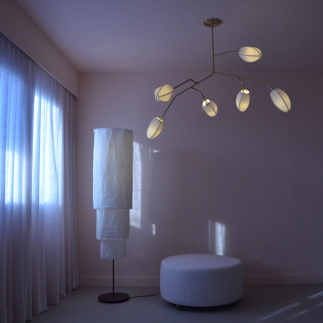 Evvinora Chandelier