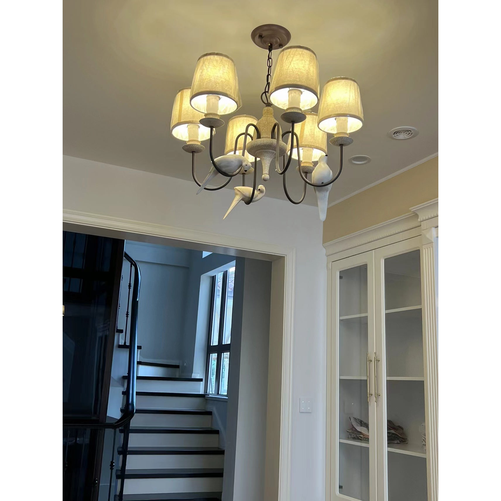 Avcarora Chandelier