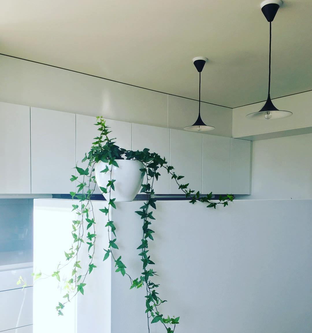 Nirixy Steel Sculptural Pendant Light-Neutral Decor