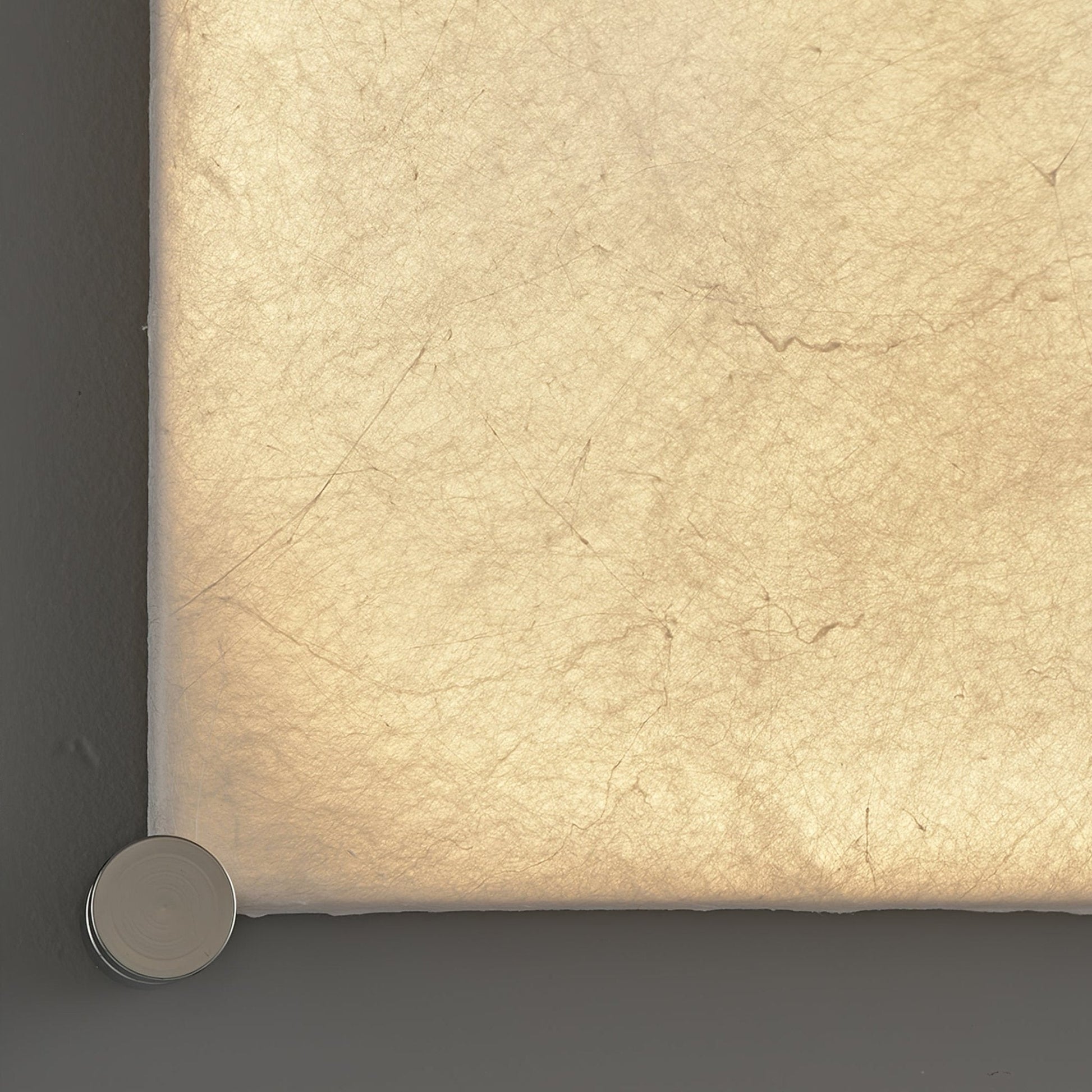 Panel Rustic Silk Wall Light-Neutral Decor