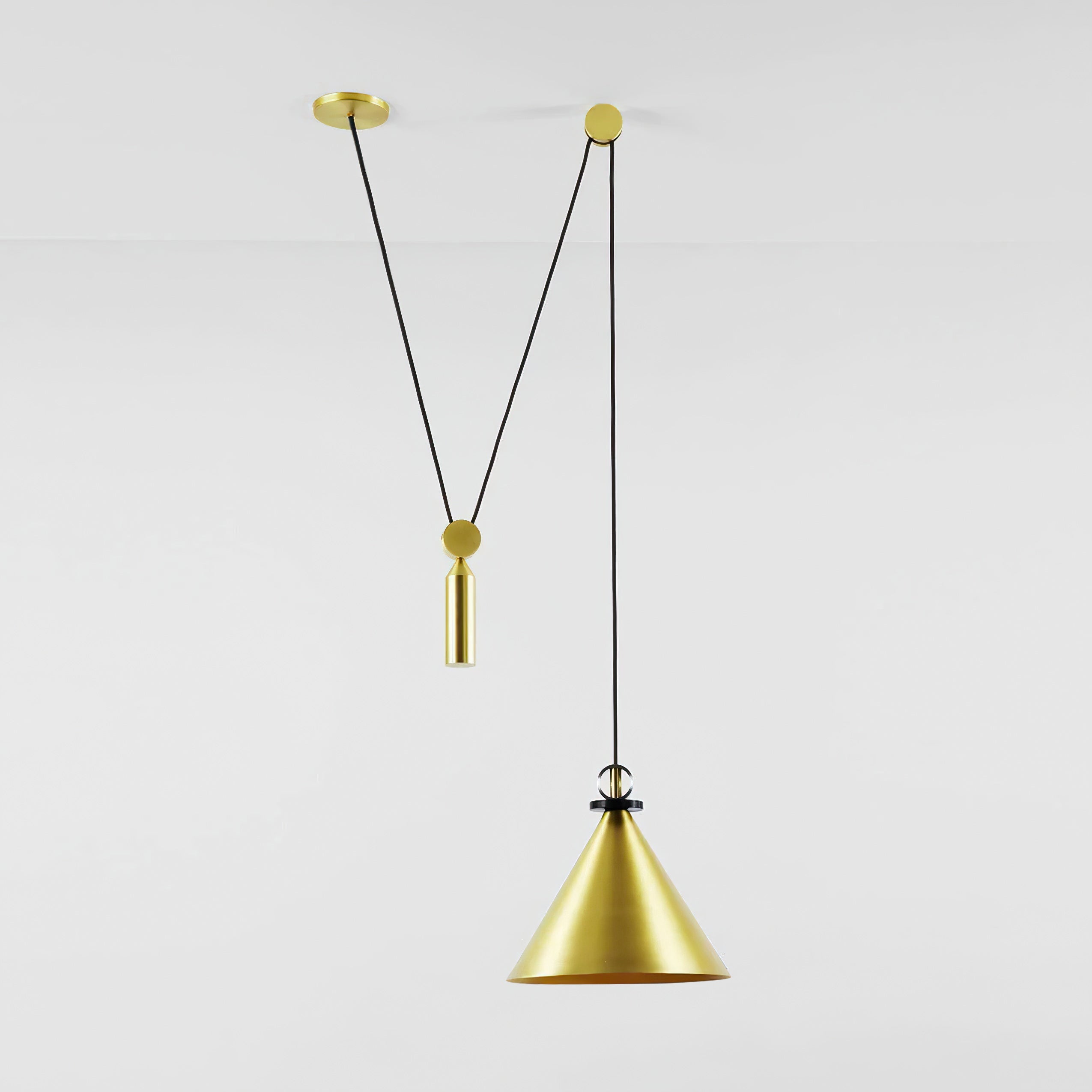 Covine Multi-Shape Adjustable Pendant Light