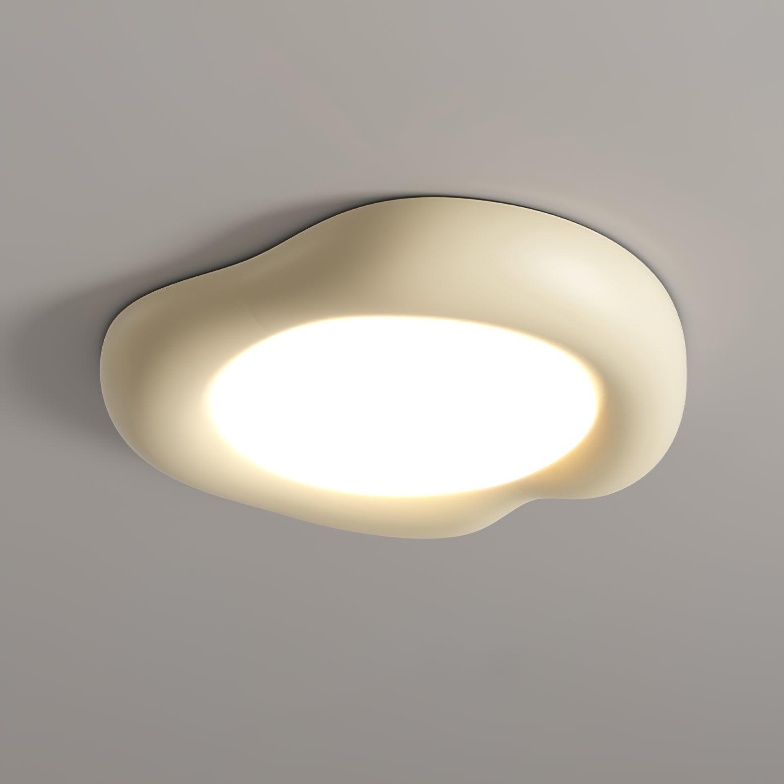 Zelaeis Shaped Apple Resin Ceiling Lamp-Neutral Decor