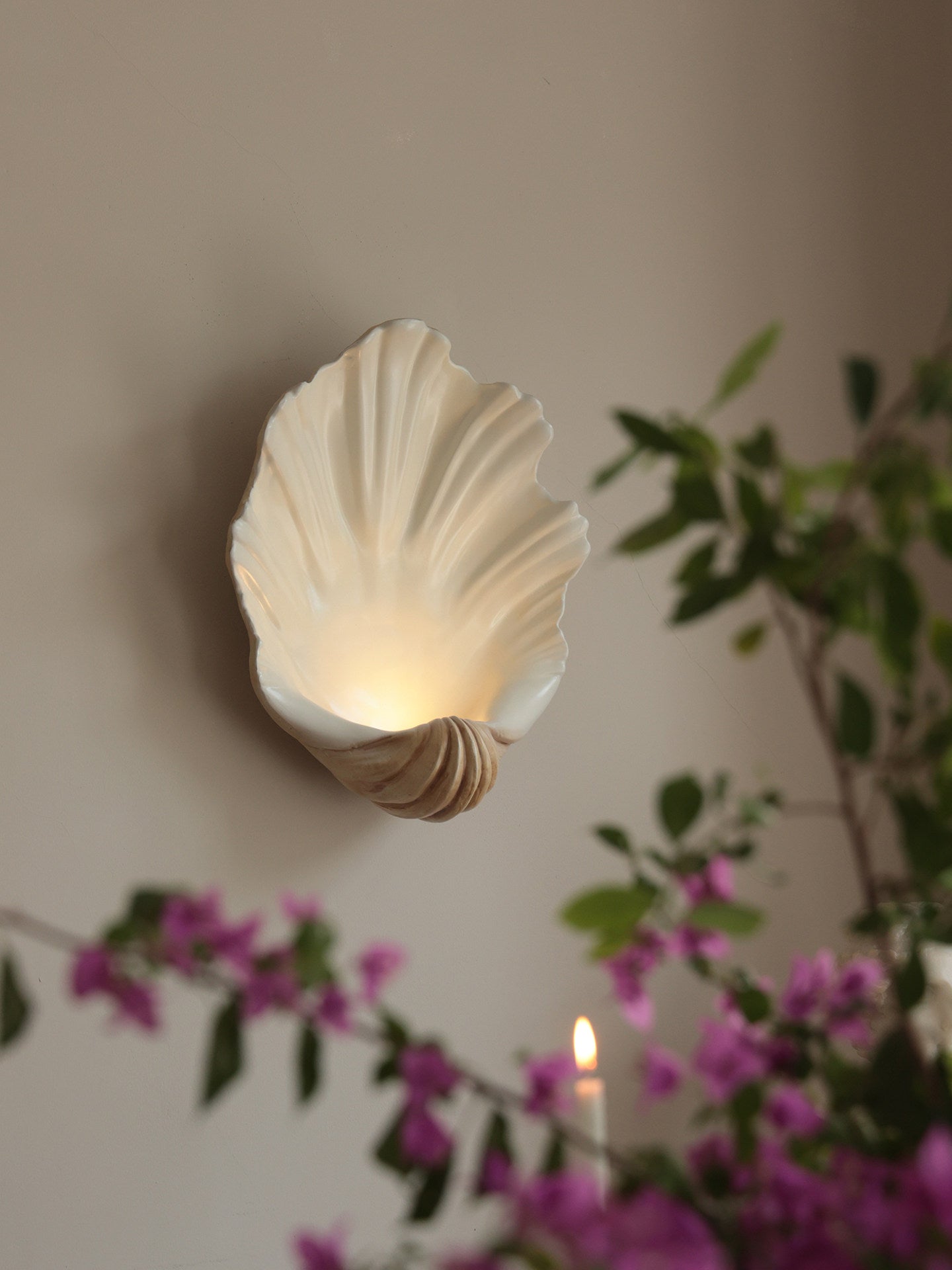 Shell Wall Sconce-Neutral Decor