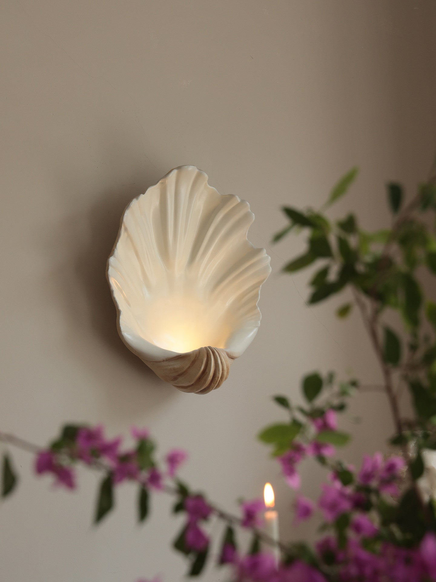 Shell Wall Sconce-Neutral Decor