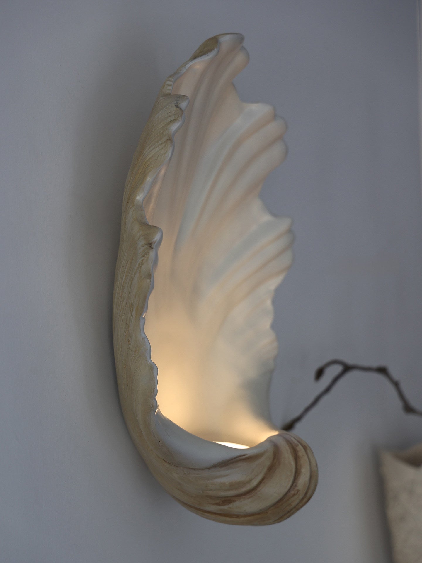 Shell Wall Sconce-Neutral Decor