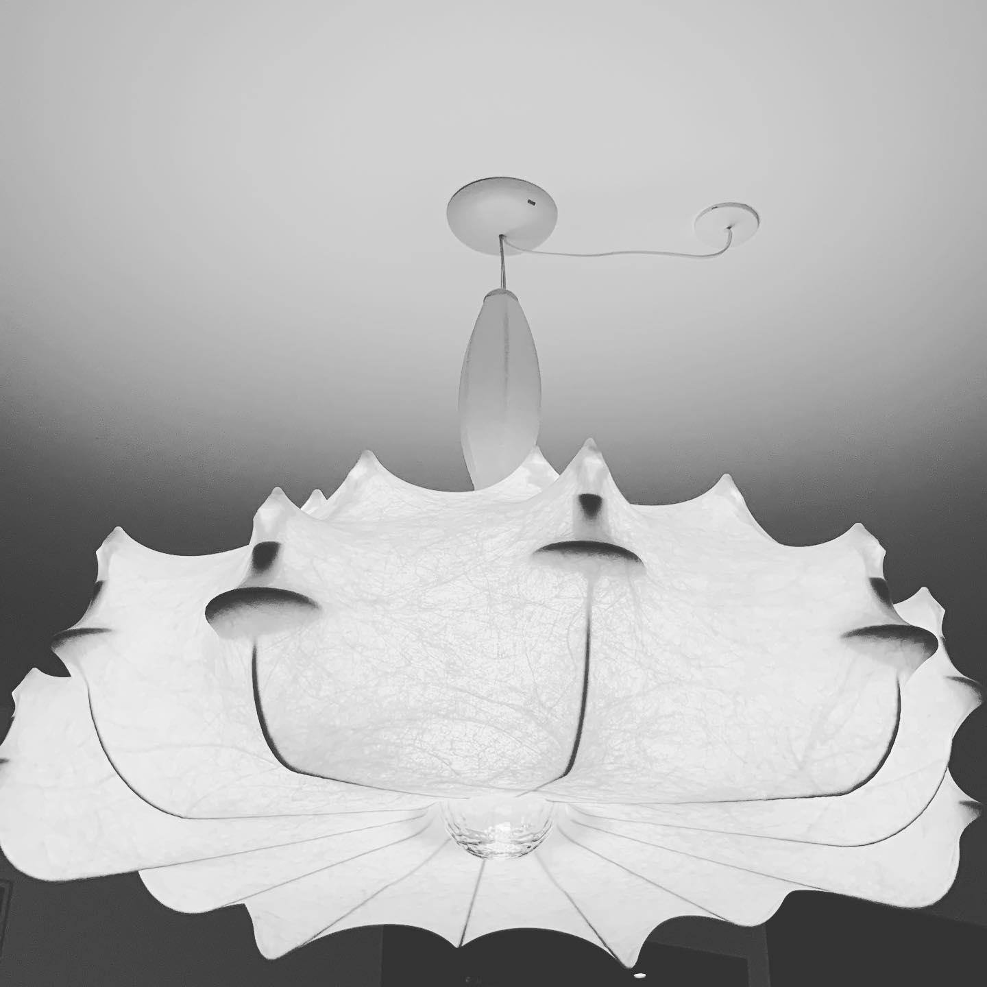 Odelia Pendant Light